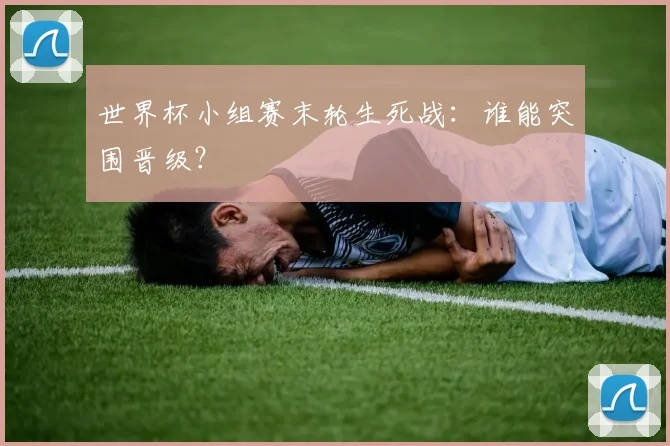 世界杯小组赛末轮生死战：谁能突围晋级？
