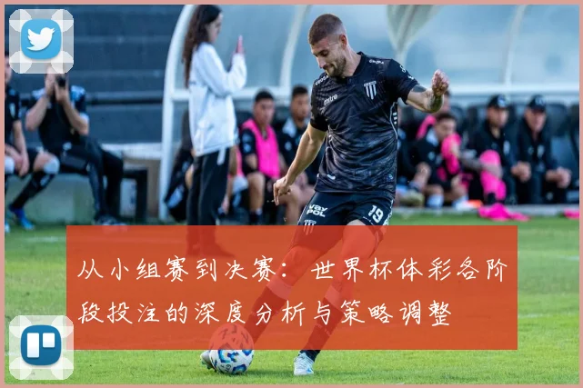 从小组赛到决赛：世界杯体彩各阶段投注的深度分析与策略调整